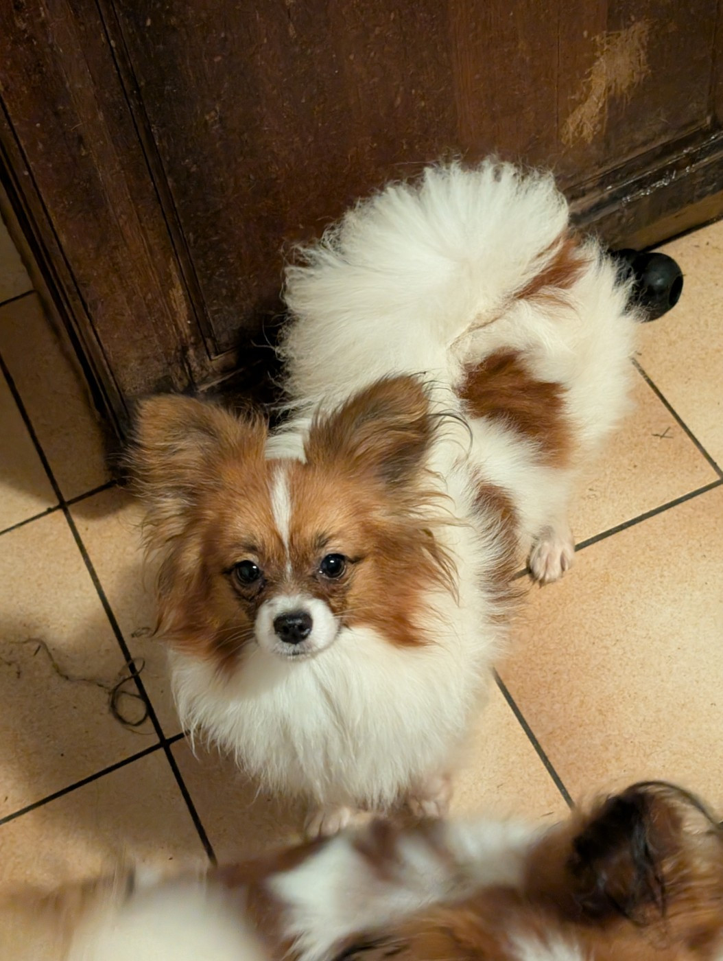 Valmy-tyffanie au Royaume D'ultra