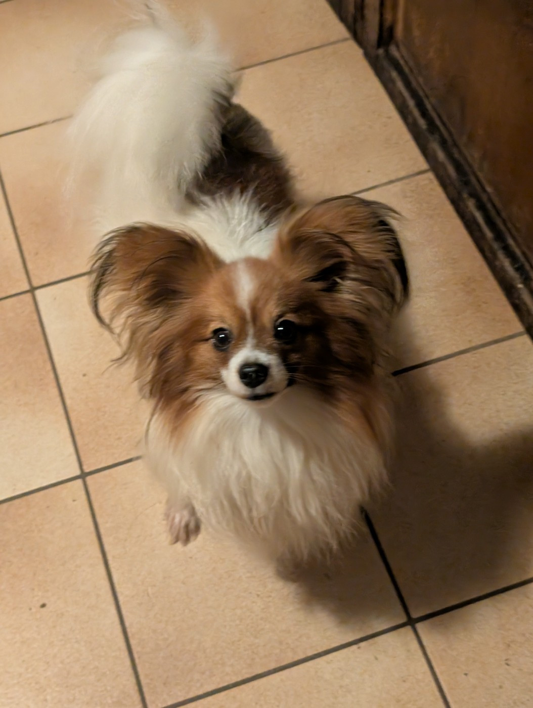 Vianney soprano des rizieres d'ha tay