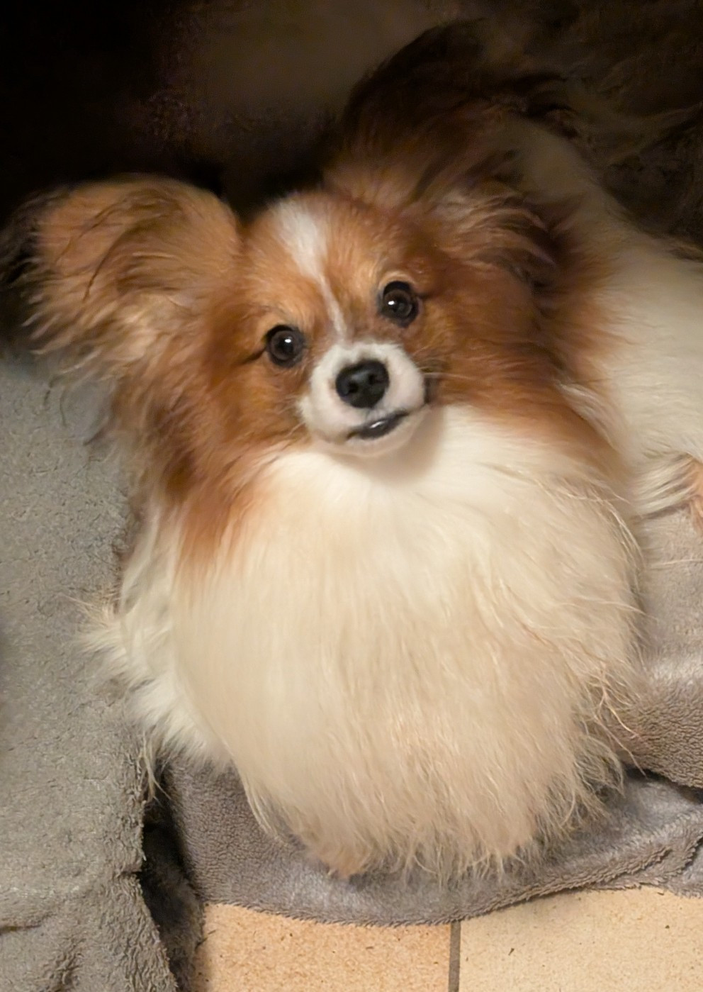 Vianney soprano des rizieres d'ha tay