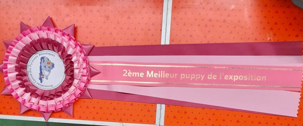 Publication : au Royaume D'ultra Auteur : françoise au royaume d'ultra