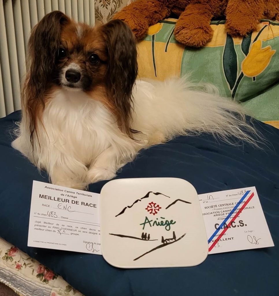 Publication : au Royaume D'ultra Auteur : françoise au royaume d'ultra