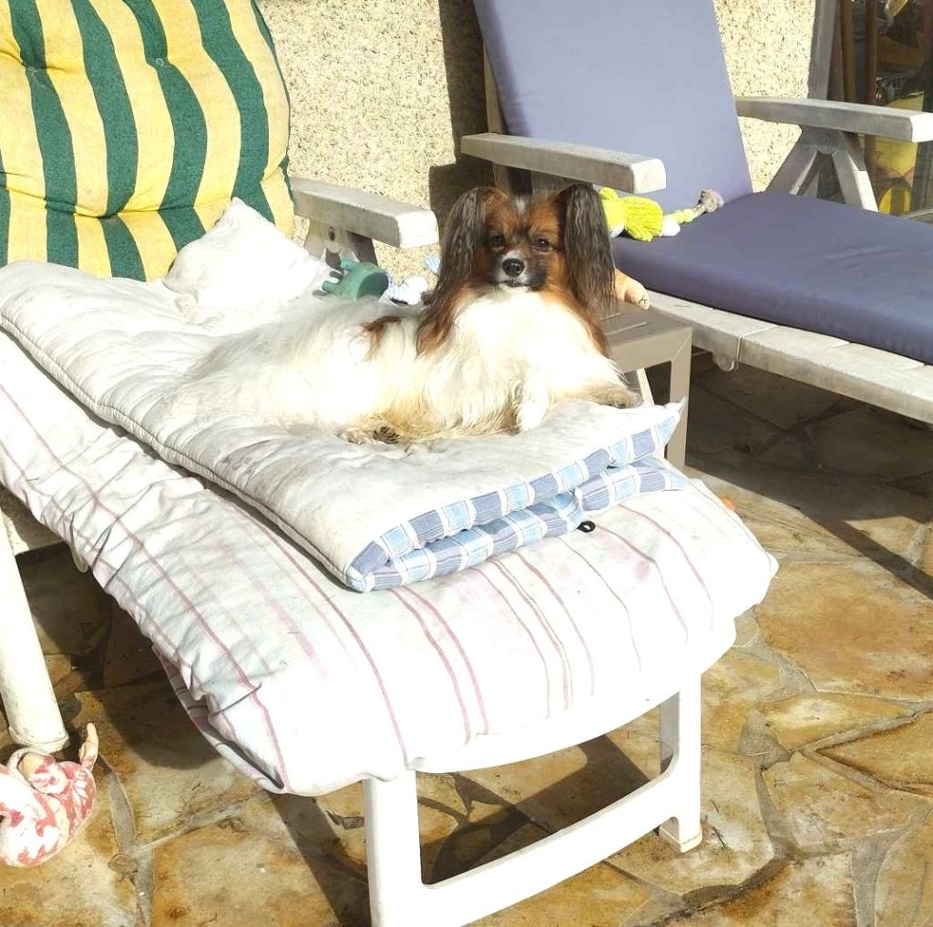 Publication : au Royaume D'ultra Auteur : françoise au royaume d'ultra