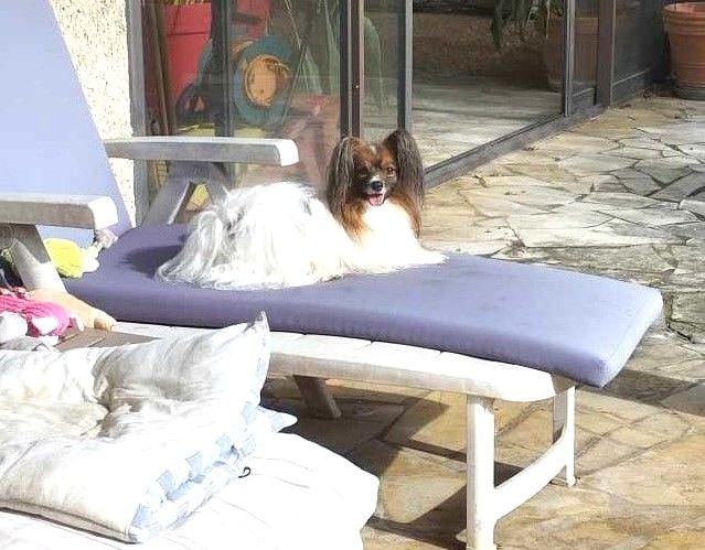 Publication : au Royaume D'ultra Auteur : françoise au royaume d'ultra