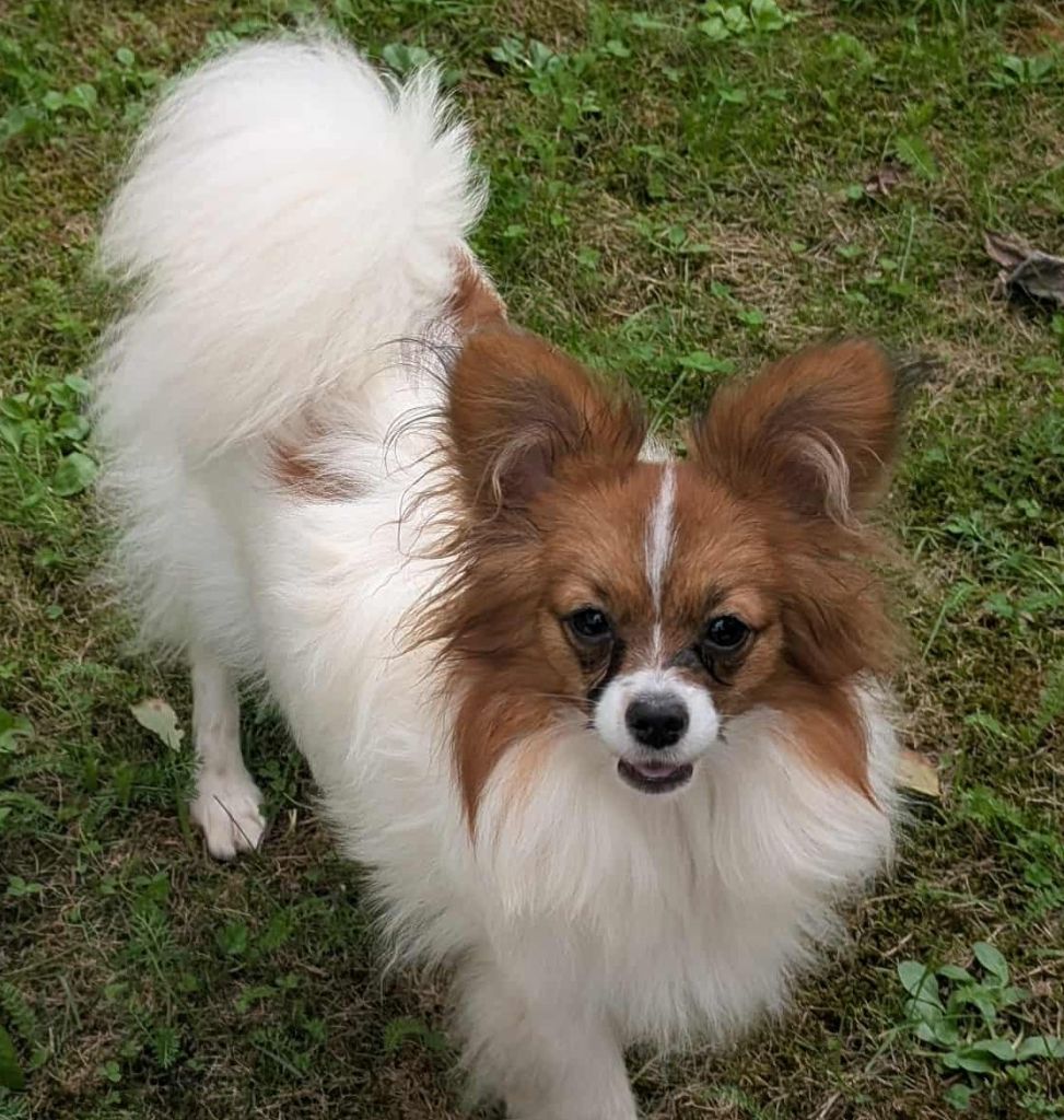 Valmy-tyffanie au Royaume D'ultra