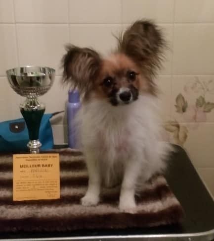 Publication : au Royaume D'ultra Auteur : françoise au royaume d'ultra