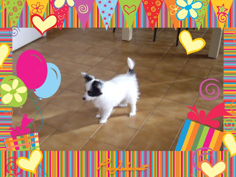 Gemy-scott au Royaume D'ultra