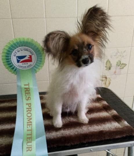 Publication : au Royaume D'ultra Auteur : françoise au royaume d'ultra