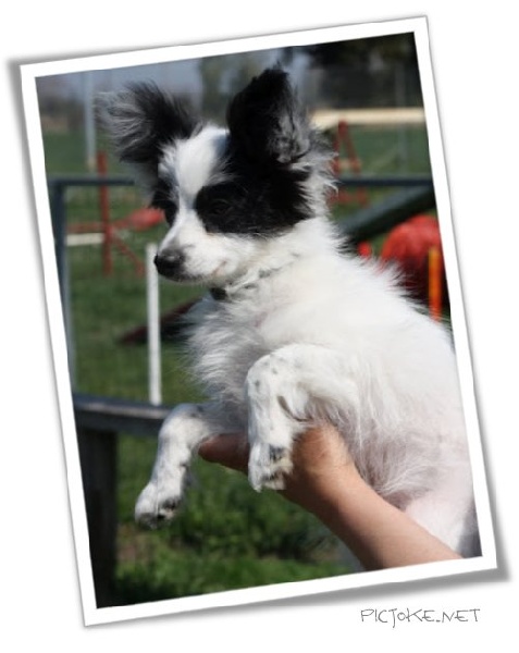 Gemy-scott au Royaume D'ultra