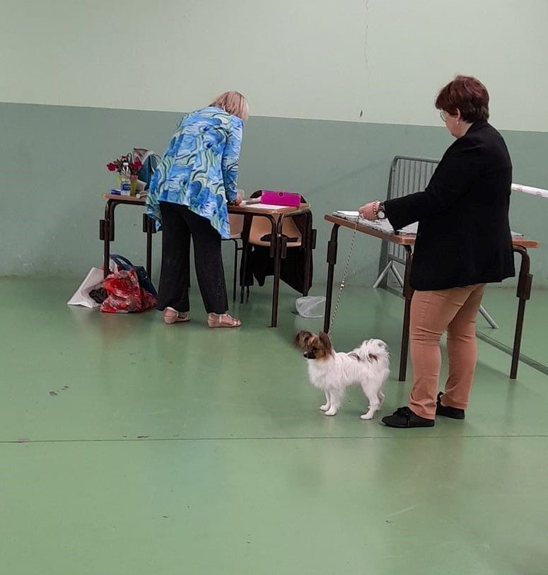 Publication : au Royaume D'ultra Auteur : françoise au royaume d'ultra