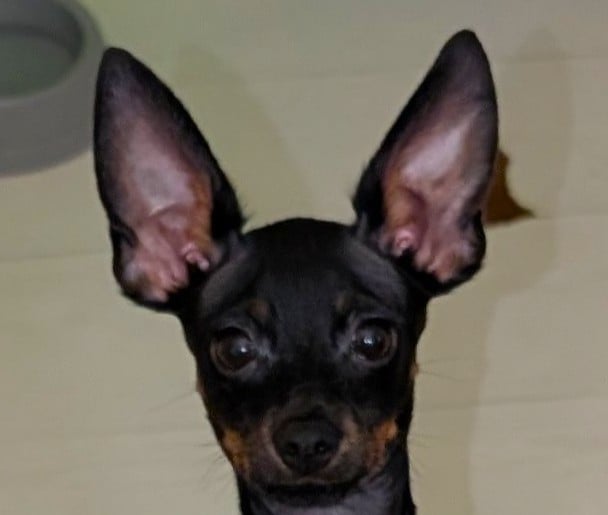 Akira-Ulk (lumiére du soleil)