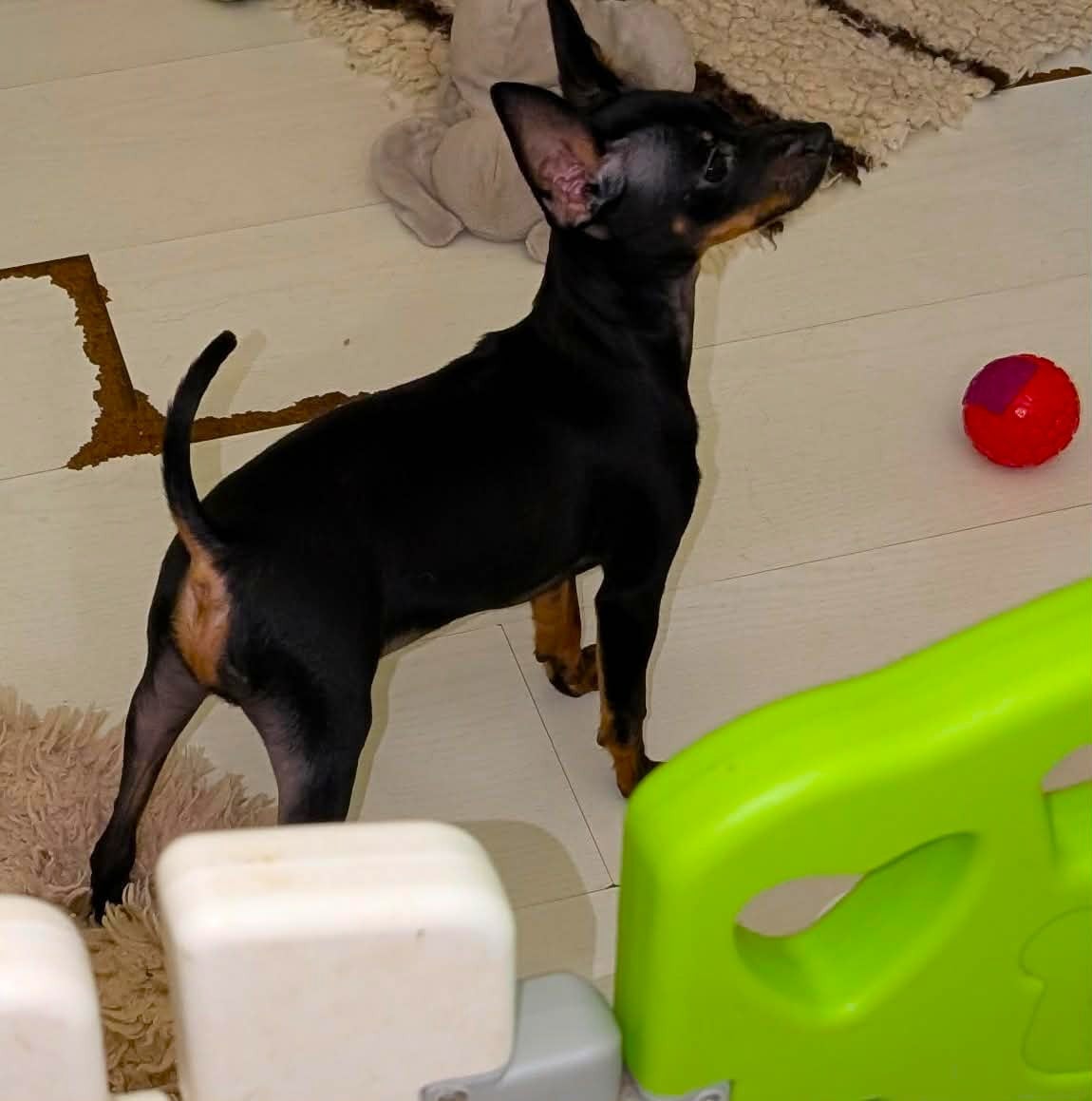 Akira-Ulk (lumiére du soleil)