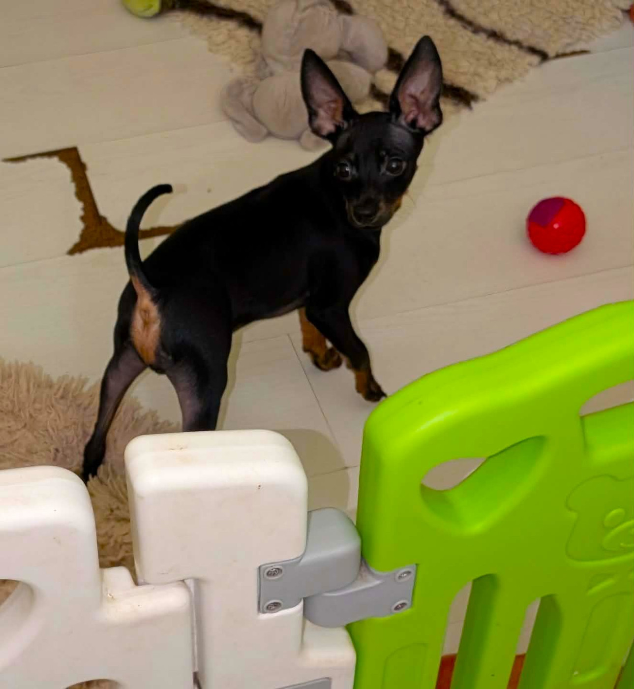 Akira-Ulk (lumiére du soleil)