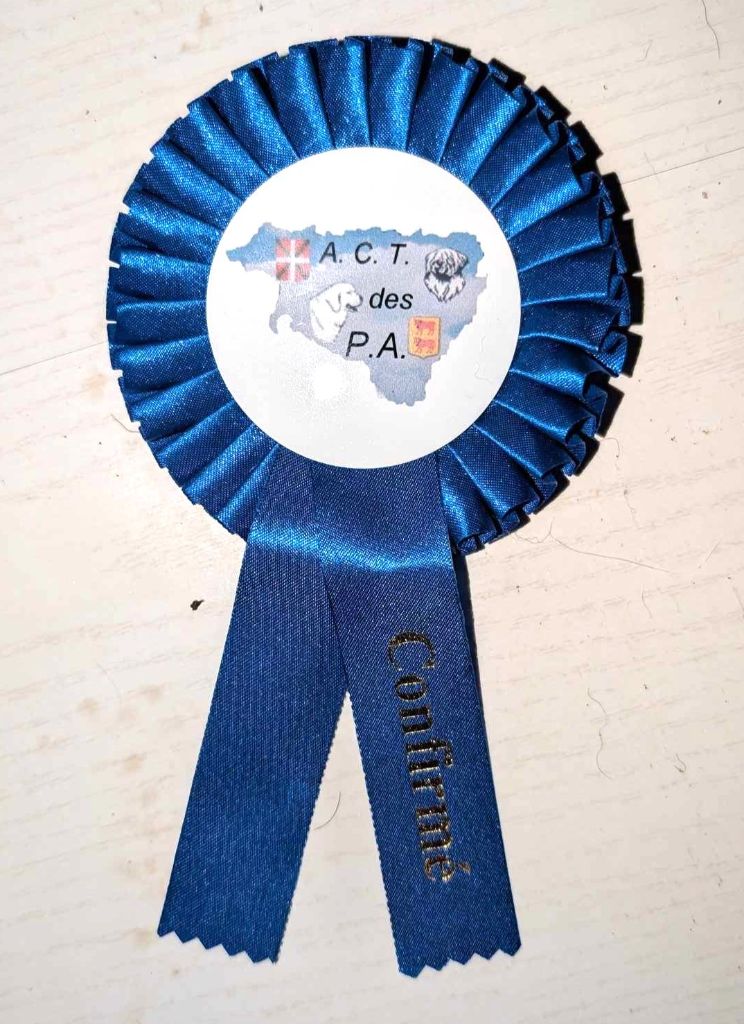 Ulyanna Du Domaine De Hunaudaye - confirmé !