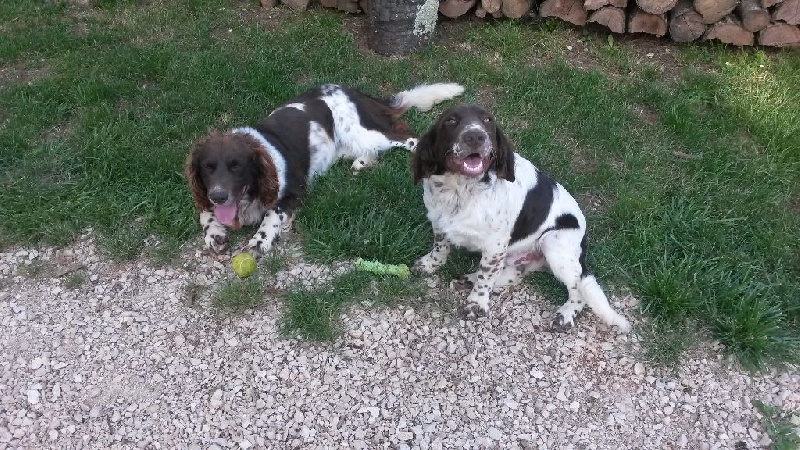 Publication : des Sources de Jouhe