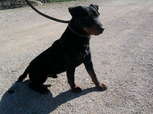 Publication : des Sources de Jouhe