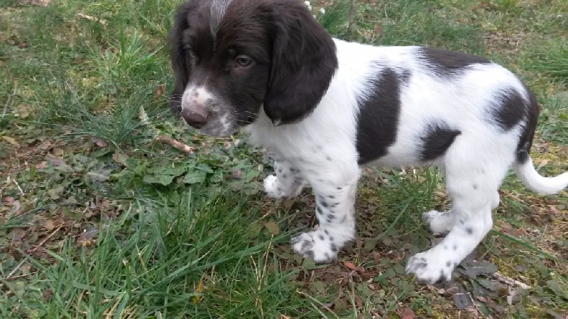 Publication : des Sources de Jouhe