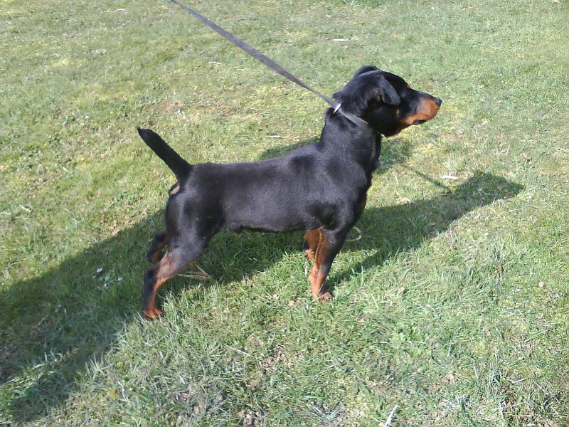 Publication : des Sources de Jouhe