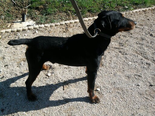 Publication : des Sources de Jouhe