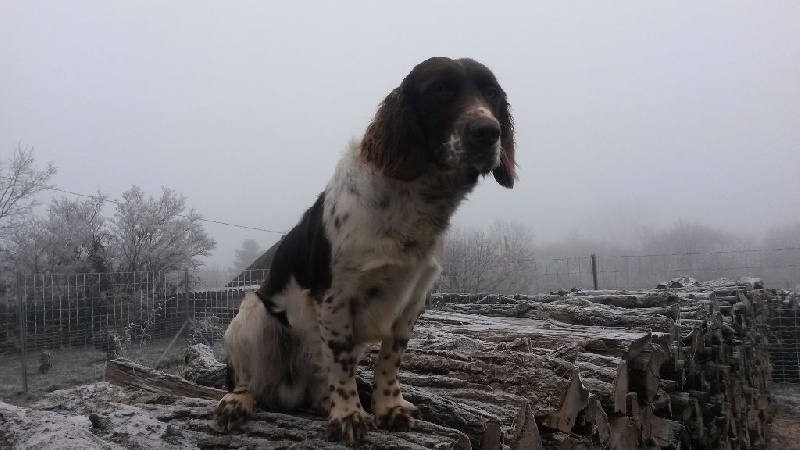 Publication : des Sources de Jouhe