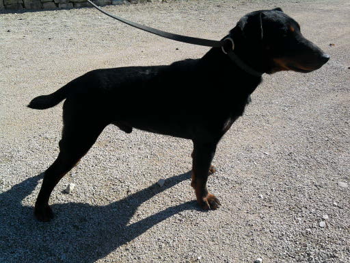 Publication : des Sources de Jouhe