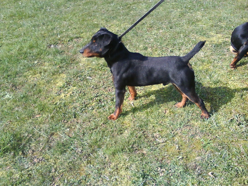 Publication : des Sources de Jouhe