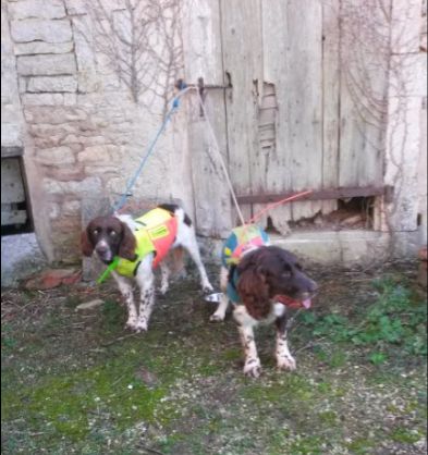 Publication : des Sources de Jouhe