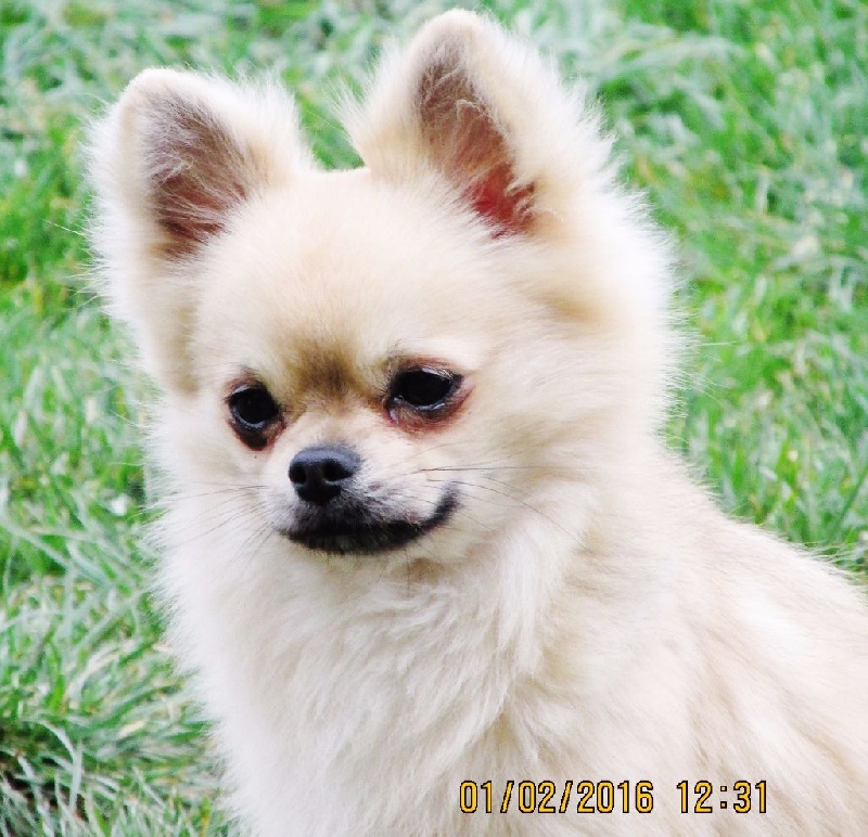 Publication : du Paradis des P'tits Cracks Auteur : MAGALI DUVAL