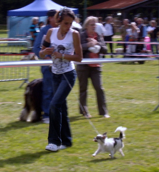 Publication : du Paradis des P'tits Cracks Auteur : MAGALI DUVAL