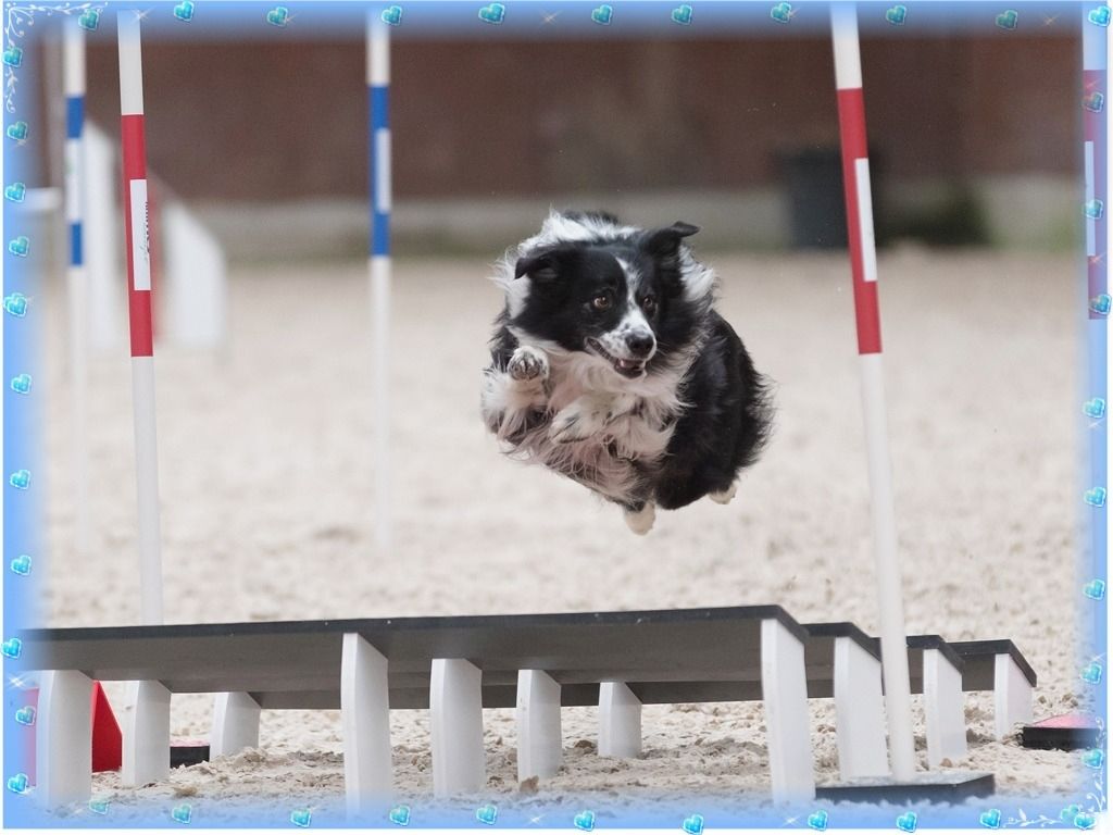 Publication : du Paradis des P'tits Cracks