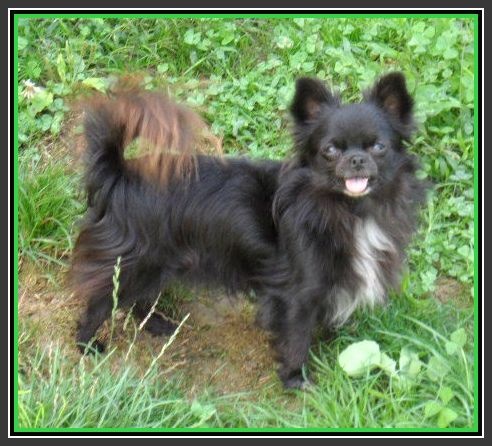 Publication : du Paradis des P'tits Cracks Auteur : MAGALI DUVAL