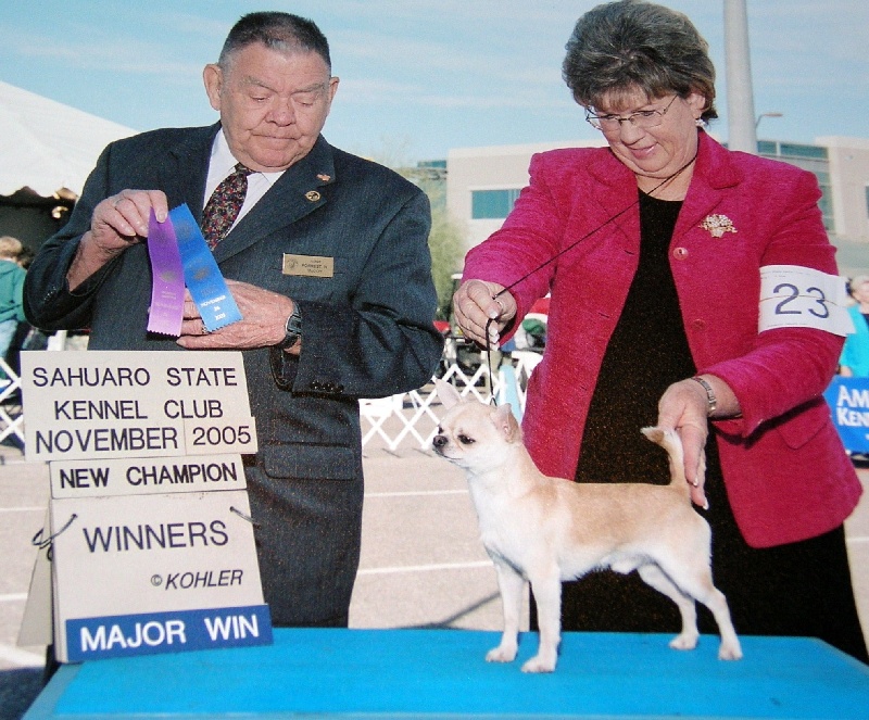 Publication : du Paradis des P'tits Cracks Auteur : MAGALI DUVAL