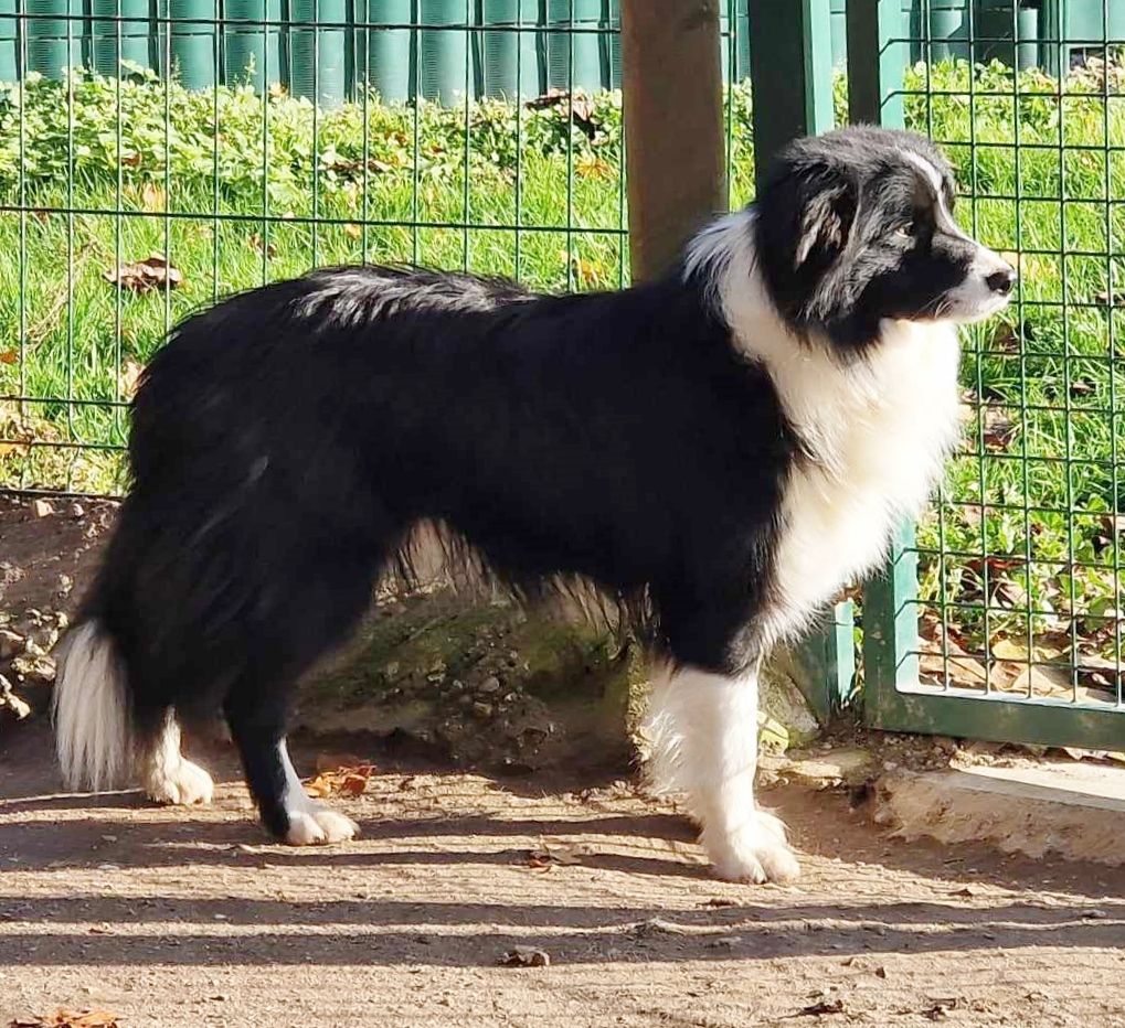 Publication : du Paradis des P'tits Cracks Auteur : Magali Duval