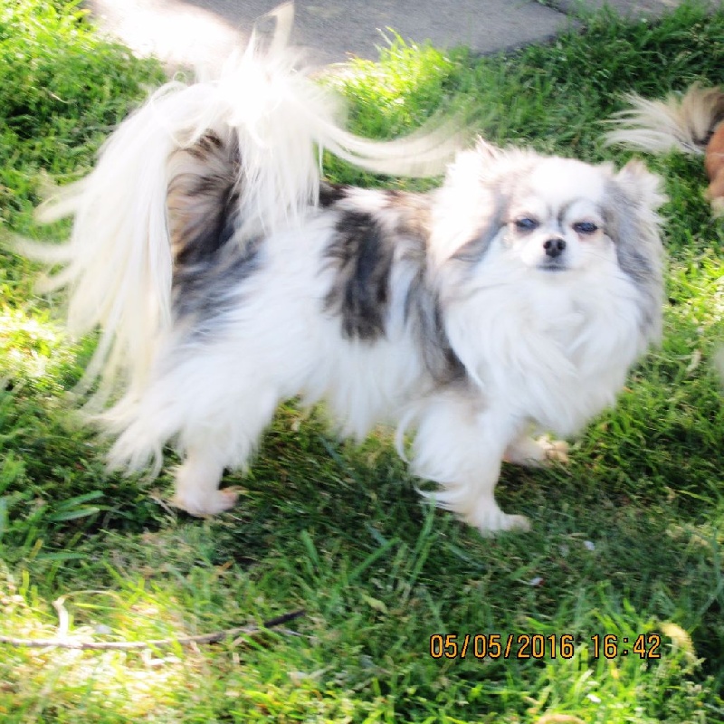 Publication : du Paradis des P'tits Cracks Auteur : MAGALI DUVAL