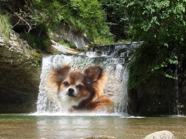 Publication : du Paradis des P'tits Cracks Auteur : Magali. Duval.