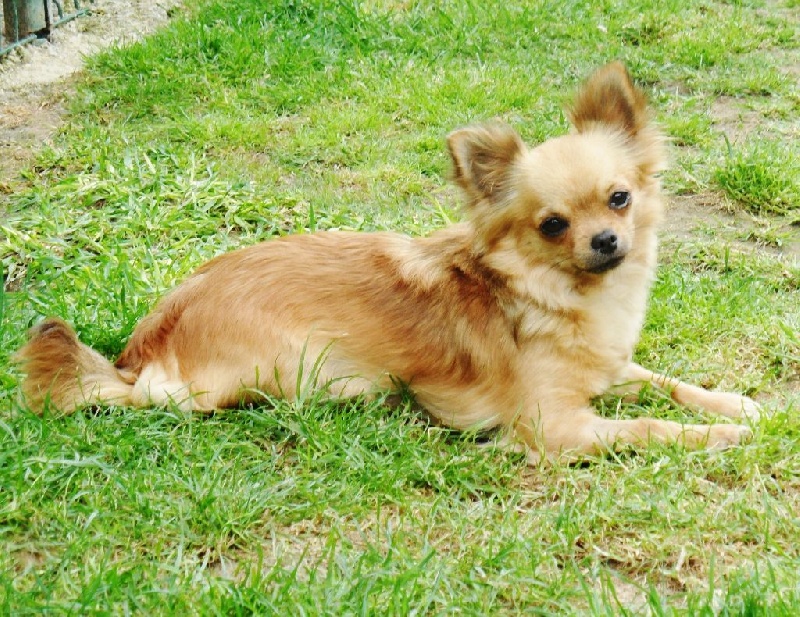 Publication : du Paradis des P'tits Cracks Auteur : MAGALI DUVAL