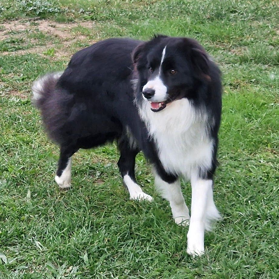 Publication : du Paradis des P'tits Cracks Auteur : Magali Duval