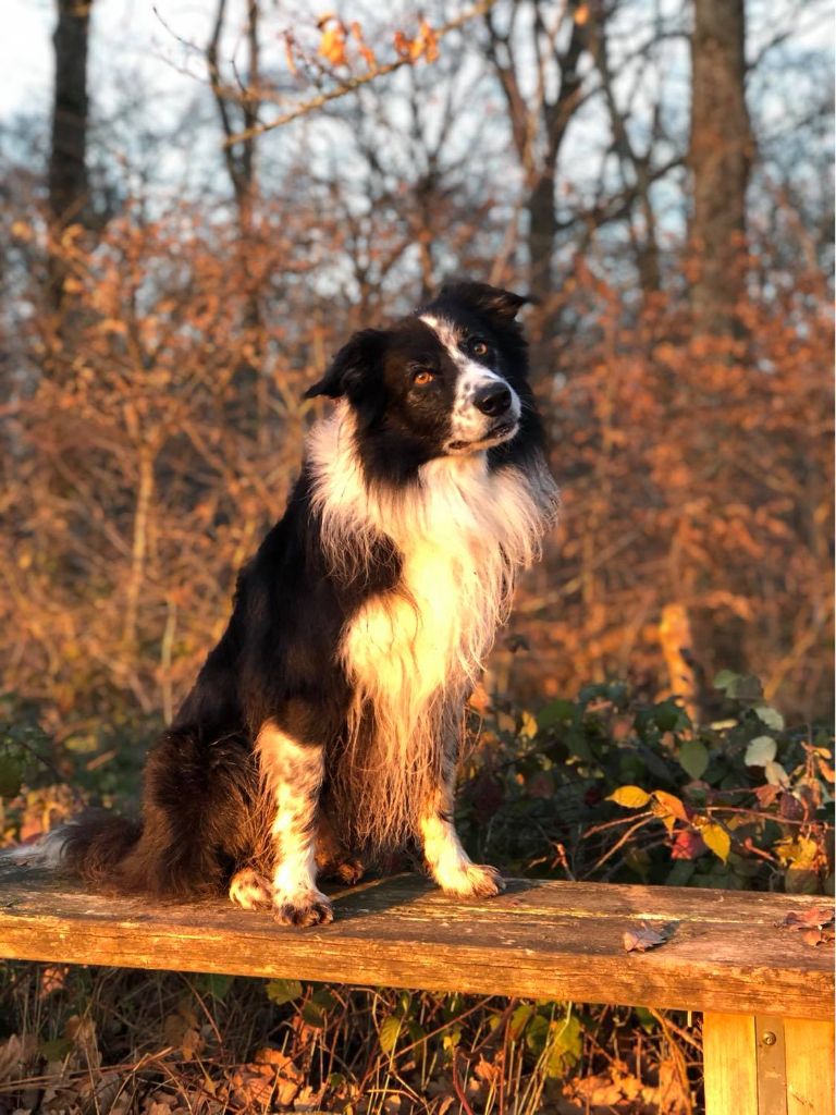 Publication : du Paradis des P'tits Cracks