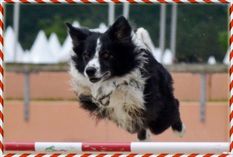 Publication : du Paradis des P'tits Cracks