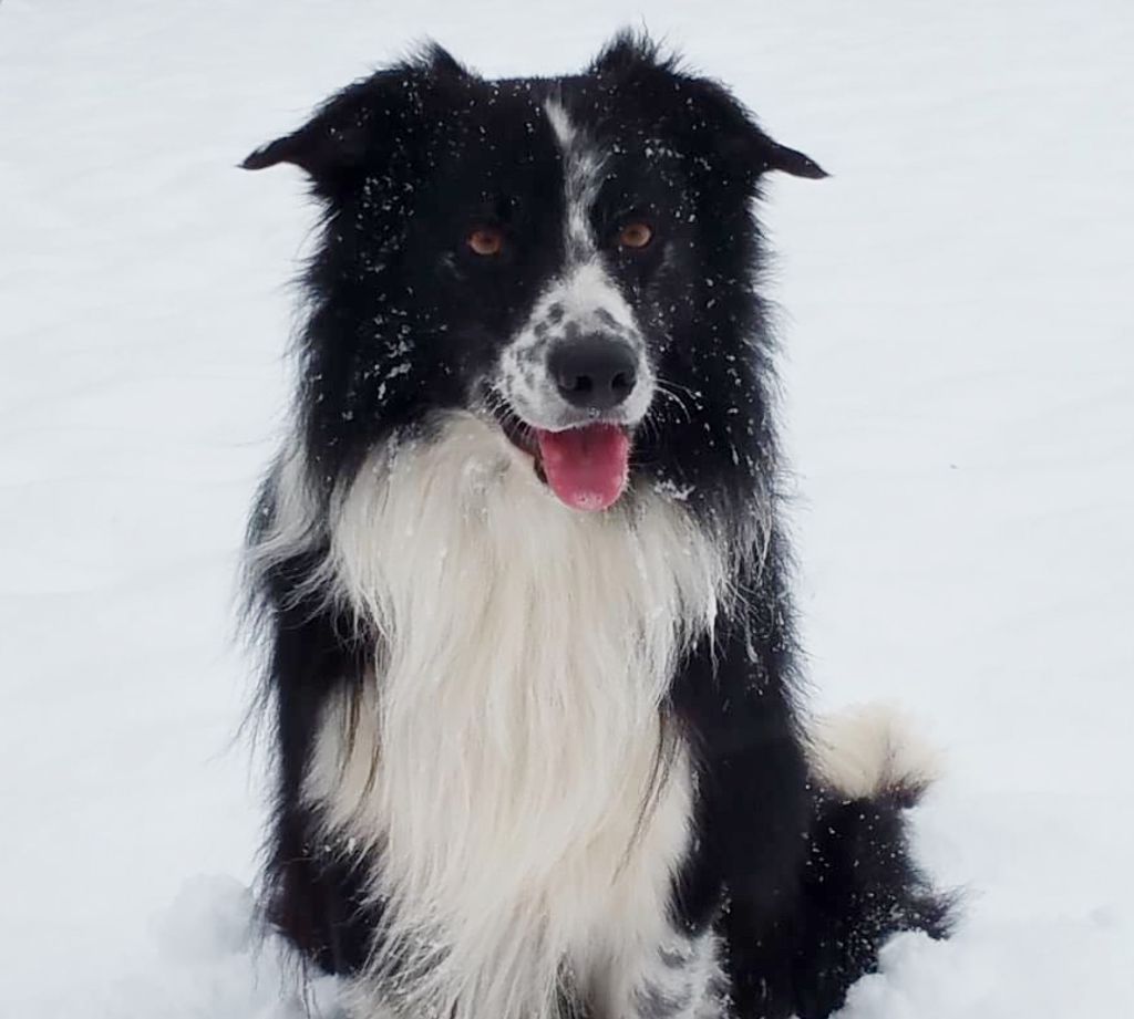 Publication : du Paradis des P'tits Cracks