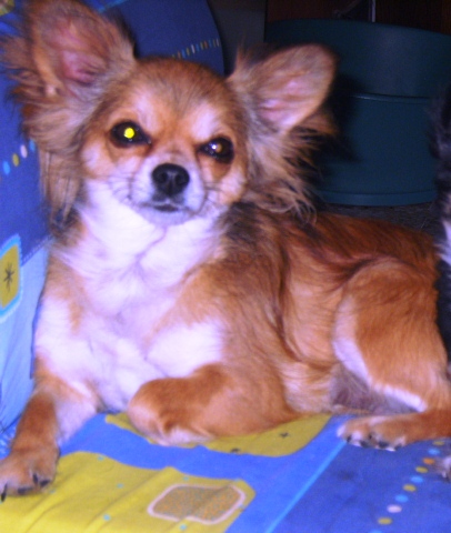 Publication : du Paradis des P'tits Cracks Auteur : Magali. Duval.