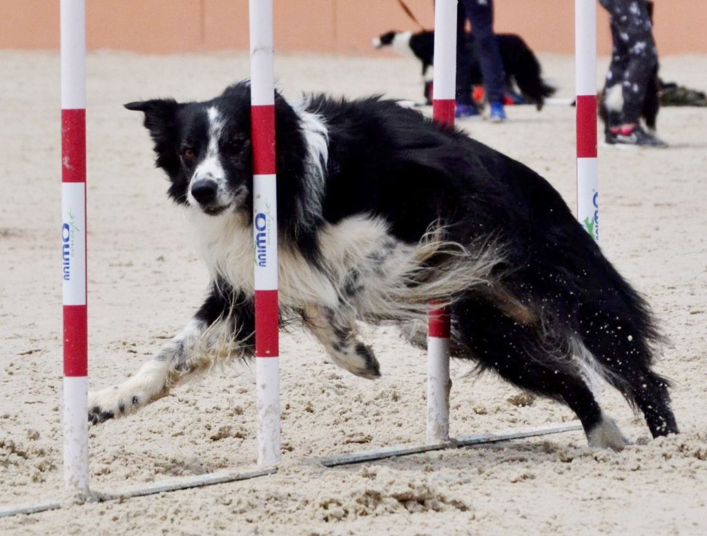 Publication : du Paradis des P'tits Cracks