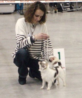 Publication : du Paradis des P'tits Cracks Auteur : MAGALI DUVAL