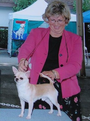 Publication : du Paradis des P'tits Cracks Auteur : MAGALI DUVAL