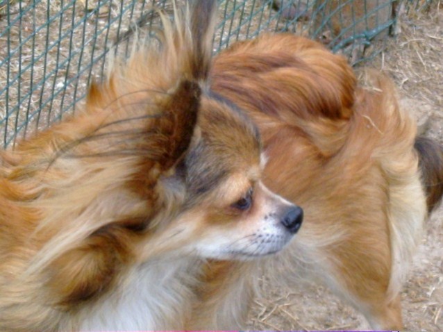 Publication : du Paradis des P'tits Cracks Auteur : Magali. Duval.