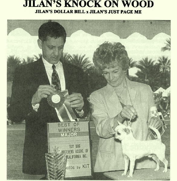 Publication : du Paradis des P'tits Cracks Auteur : MAGALI DUVAL