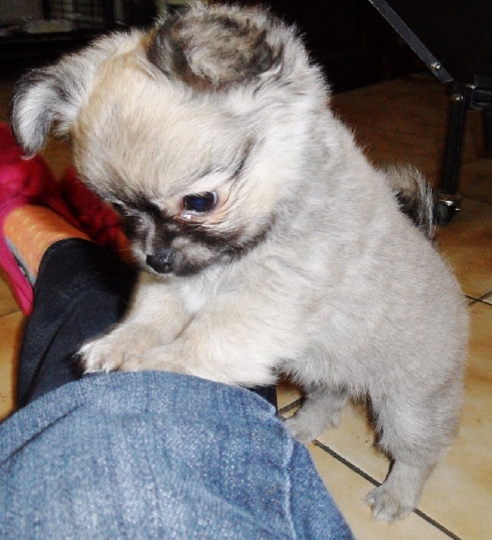 Publication : du Paradis des P'tits Cracks Auteur : MAGALI DUVAL