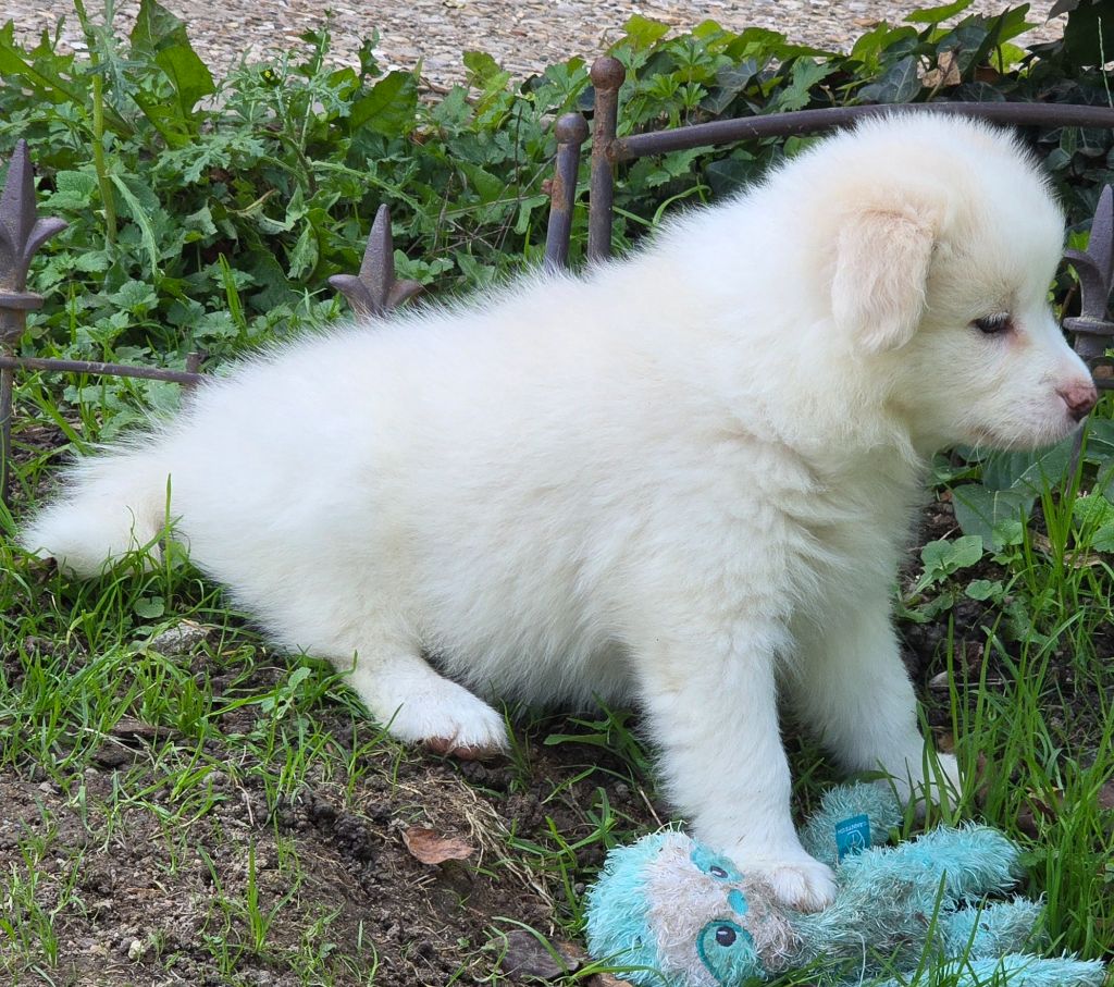 * APPY du Paradis des P'tits Cracks *