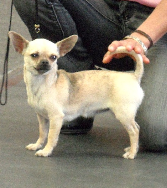 Friponne rips naughty paradise (Sans Affixe) - Très bon non classé