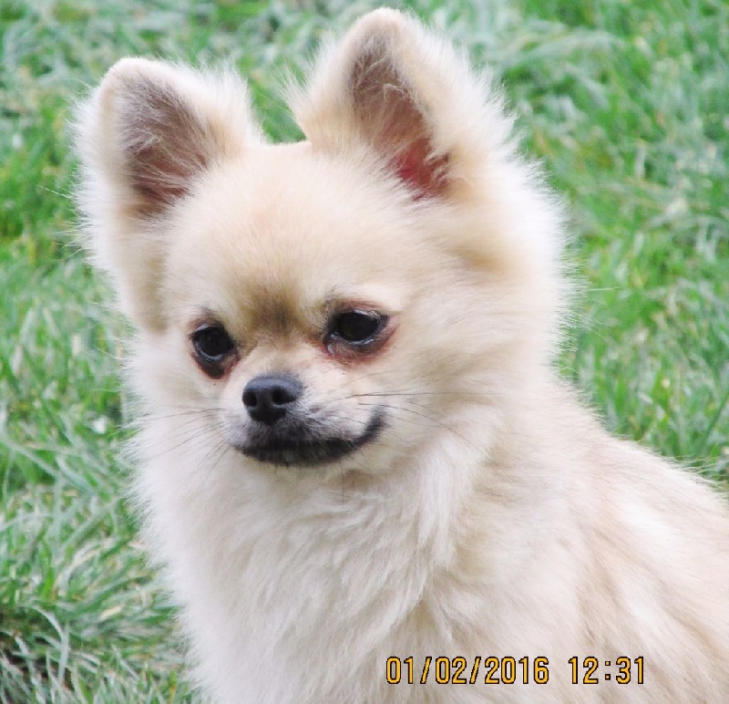 Jimmy du Paradis des P'tits Cracks - EXCELLENT.