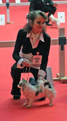 Belle fleur bleue (Sans Affixe) - 2ème Excellente